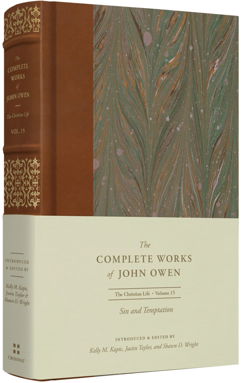 Sin and Temptation (Volume 15)