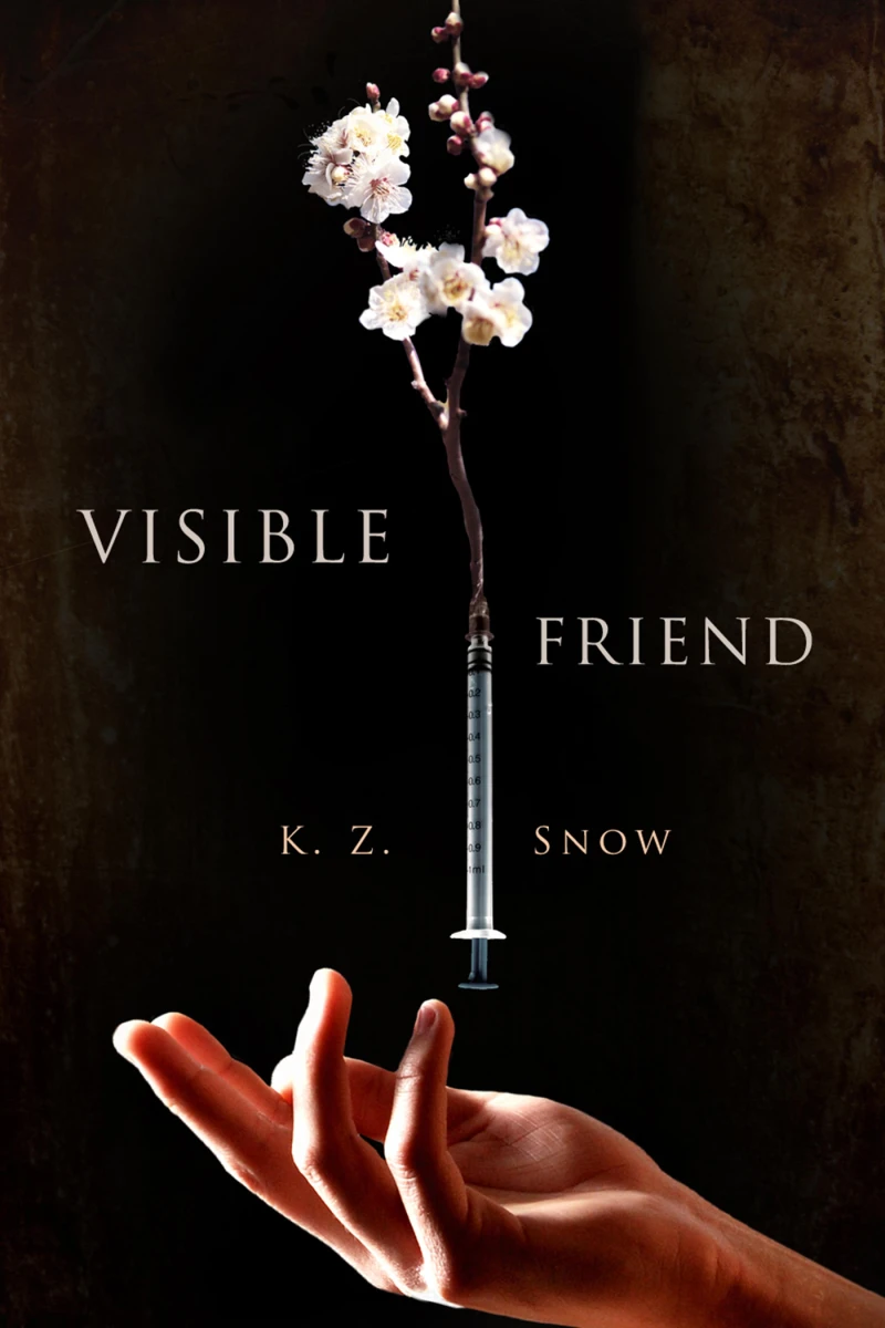 Visible Friend