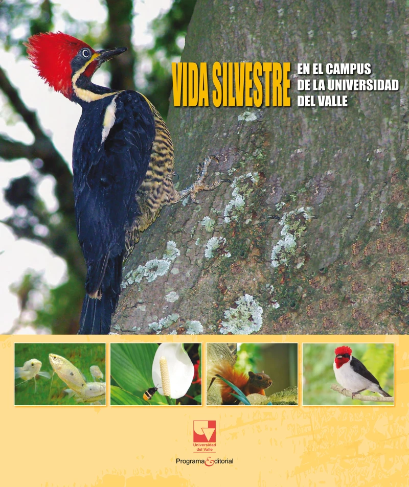 Vida silvestre